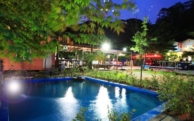 Iris Pension