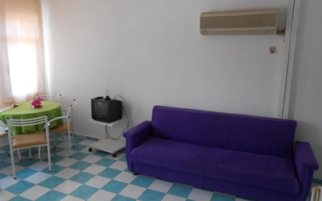 Camelia Apartments