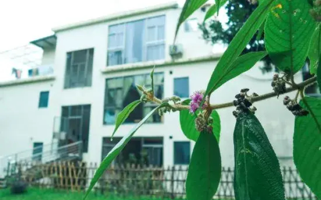 Le yeb & B (Hello Nankunshan nature school)
