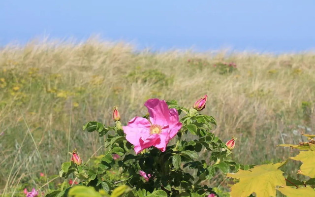 Spacious Apartment in Neubukow With Balcony