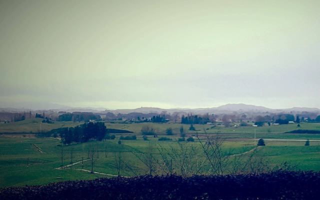 Waitomo Orchard Estate B&B