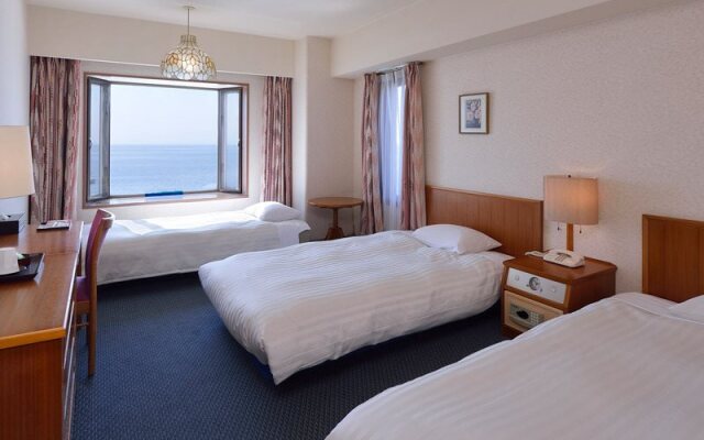 Hikone View Hotel