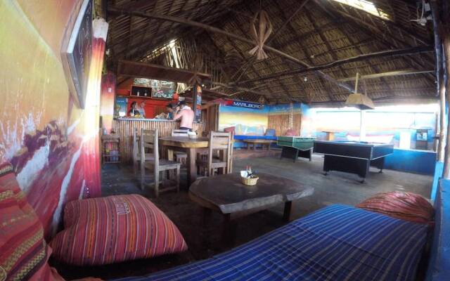 Hotel el Delfin