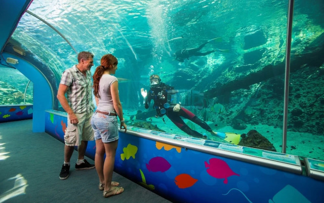 Coral Coast Tourist Park