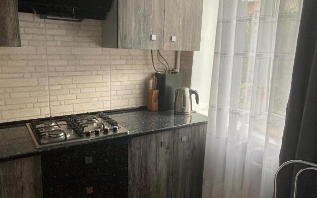 Apartment Artynova 29