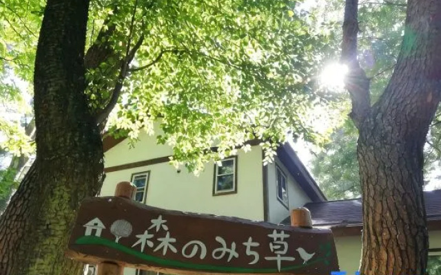 Mori No Michikusa
