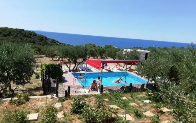 Camp Kopito