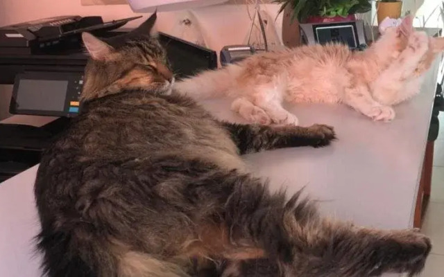 Le Vigne della Duchessa - Guest House