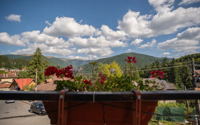 Opus View