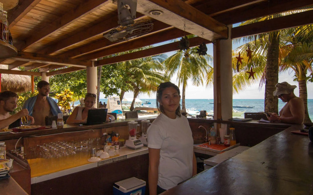 Ocean Vida Beach and Dive Resort