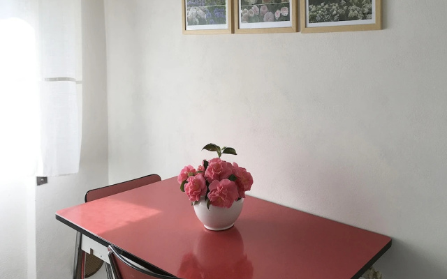 House & Garden