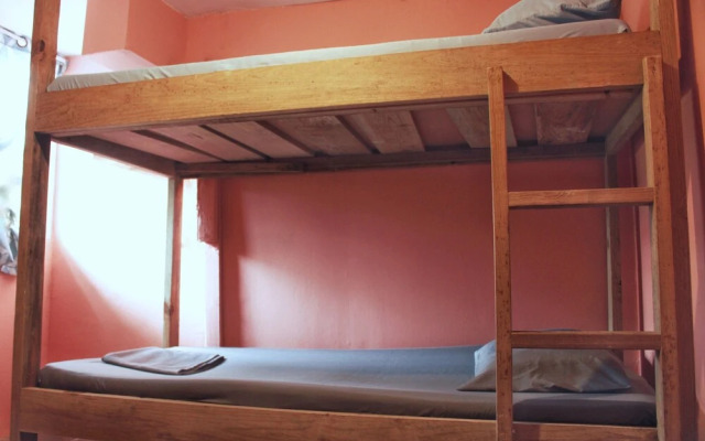 Twin Fin Hostels