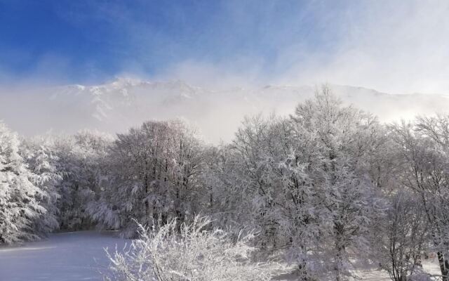 Gite - Auberge Le Chamois