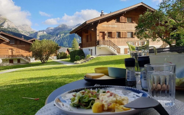 Spitzhorn Nr 1 Gsteig