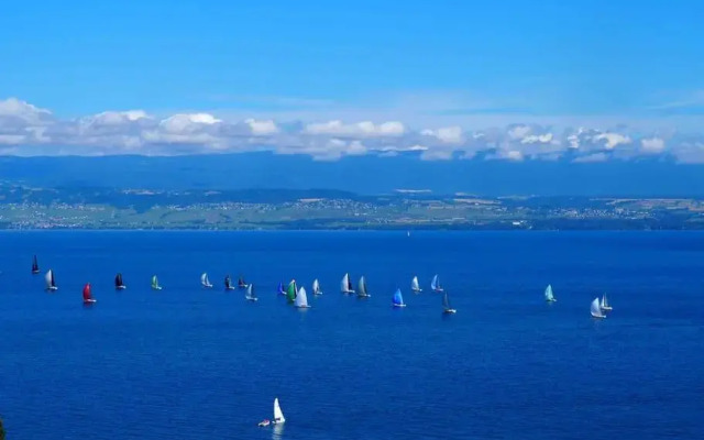 T2 « lémanesque » aux nuances du lac avec jardin