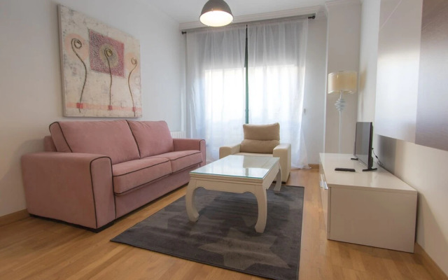 Apartamentos Recogidas 10