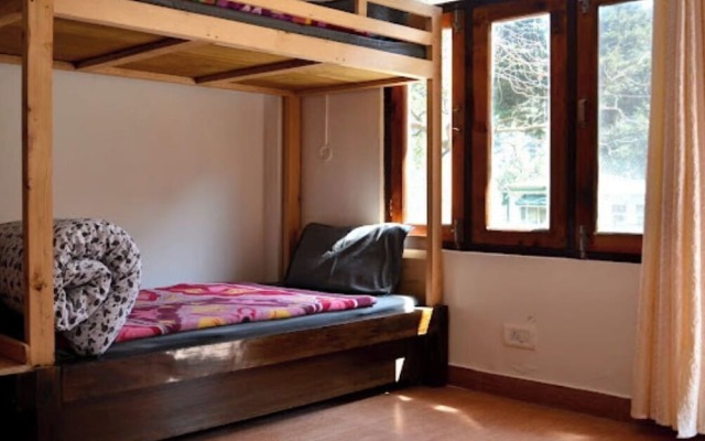 Hostel Abodes Trees of Heaven