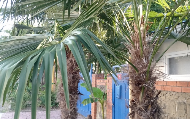 Guest House Viktoria