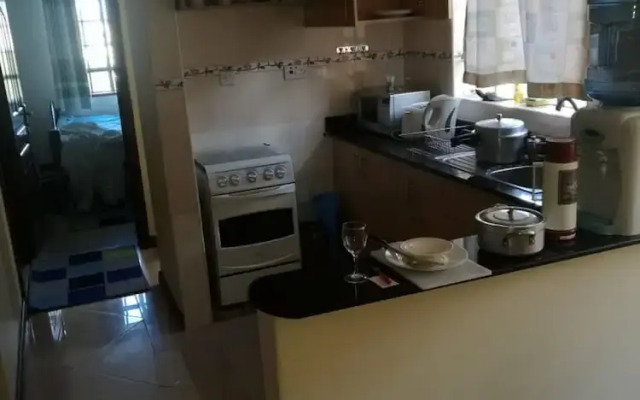 Gracious Apartment