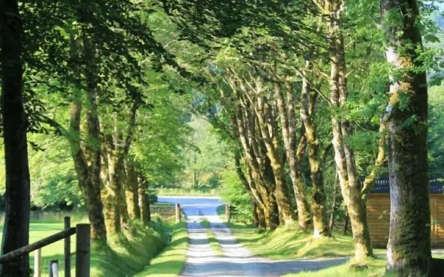 The Braes Guest House