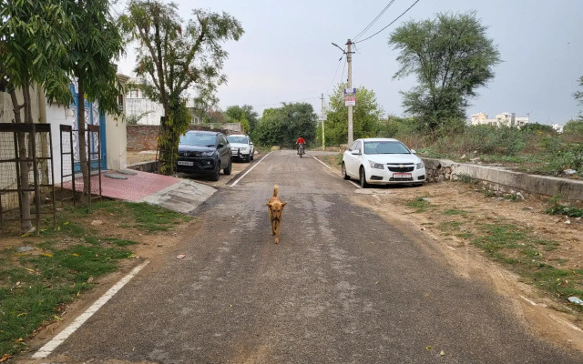 Rukiye Zara Jaipur