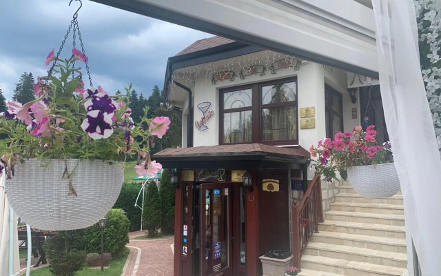Villa Alpin