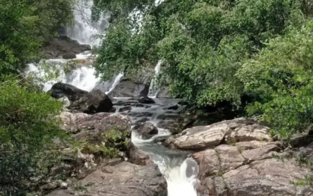 Sinharaja Serenity Retreat