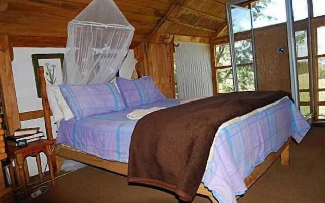 Sycamore Avenue Treehouses