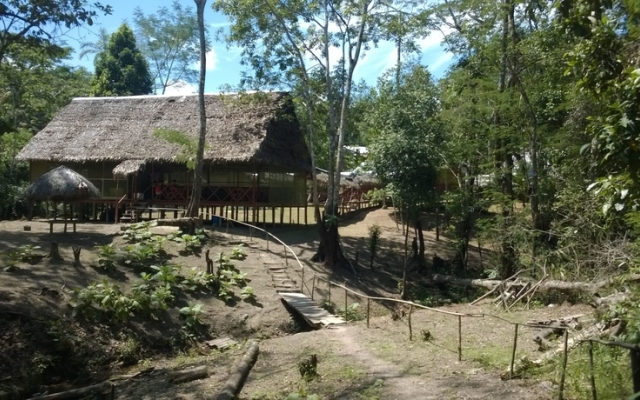 Amazon Queen Lodge