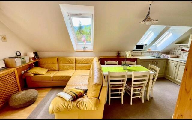 Apartment Dimnik