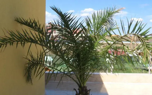 Hotel Koraba
