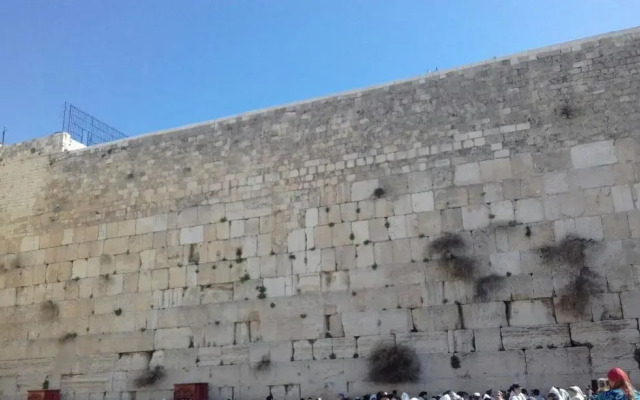 Rental Israel-Mamila Residences 14