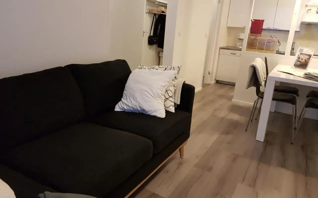 Lapland Spacious Apartment, Rovaniemi