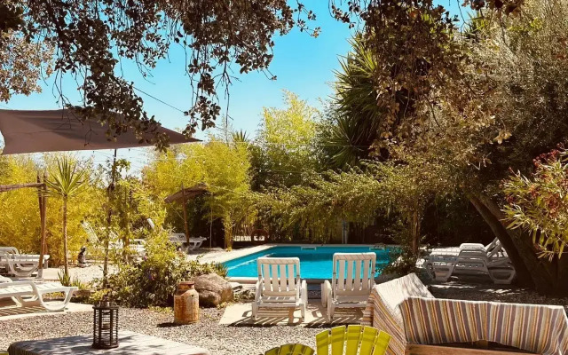 Casa Rico Frade Garden
