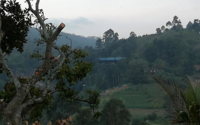 Ella Grand View
