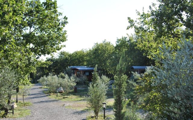 Domaine de Saint Cerice en Ardèche Sud