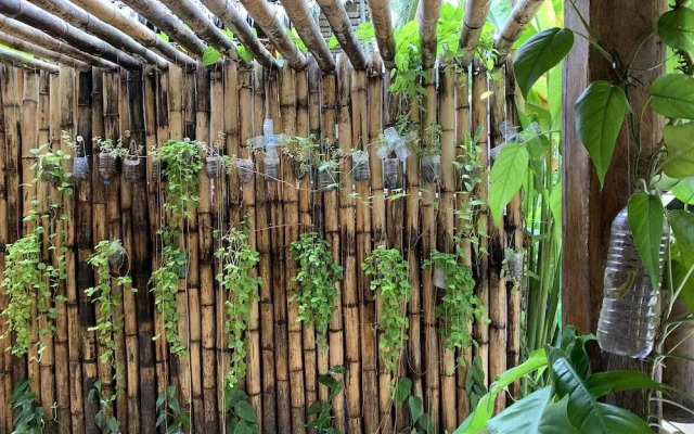 Alpas Siargao - Hostel