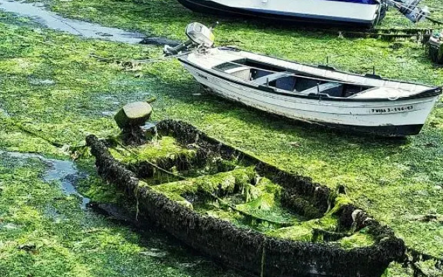 Vistas a la Ría de Arousa
