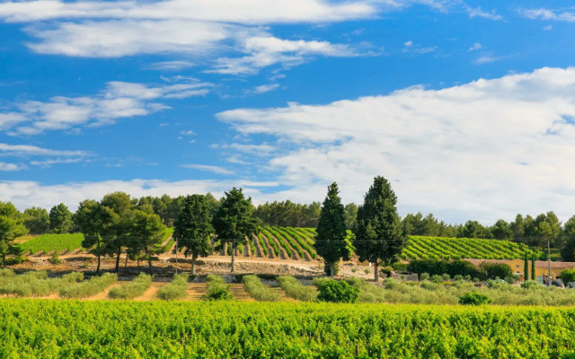 Chambres d'hôtes Domaine l'Olibaou