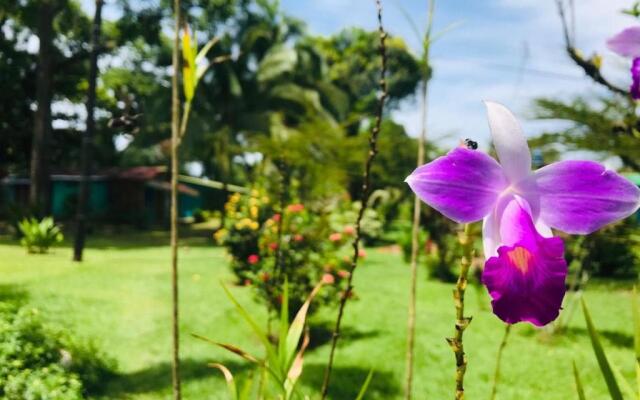 All Rankins Eco-Lodge