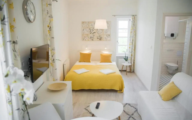 Raba Apartman House