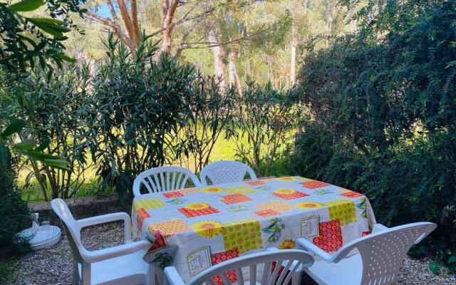 Appartement Calvi, 1 pièce, 4 personnes - FR-1-63-285