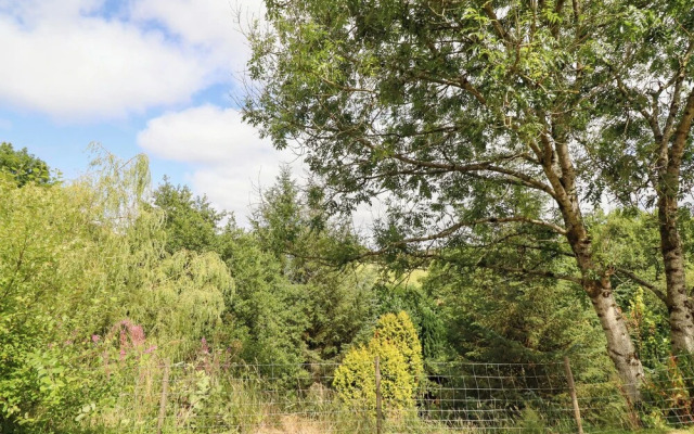 Red Kite at Wild Valley Huts