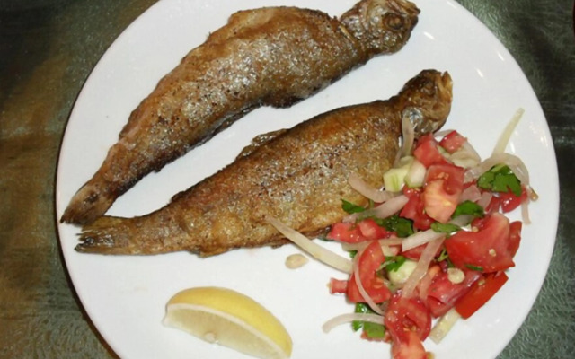 Hamsiköy Zitaş Bungalov & Restoran