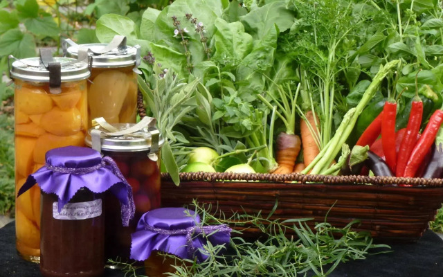 The Retreat at Froog-Moore Park