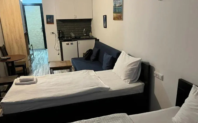 Gudauri Loft Apartment N509