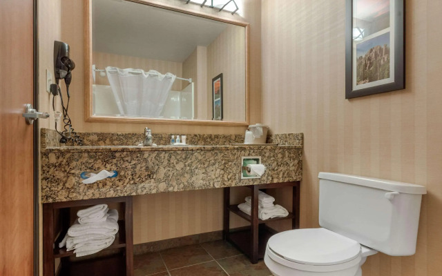 Comfort Inn & Suites Mitchell I-90