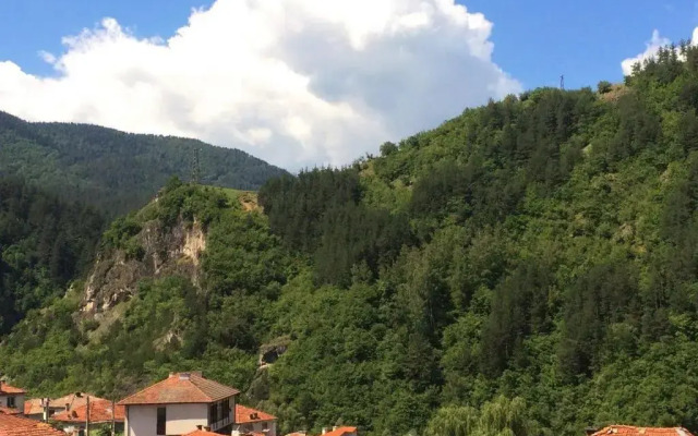 Vasilevi House