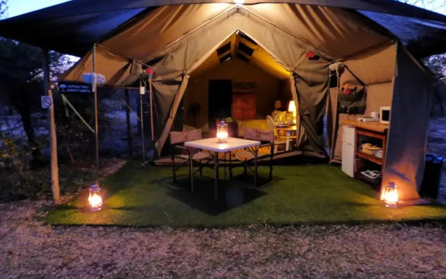 Thorn Tree Bush Camp