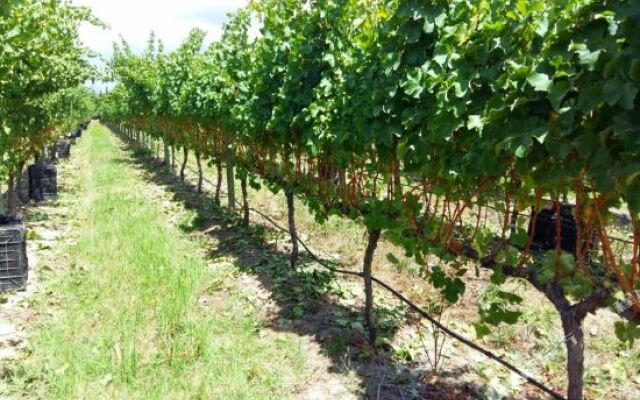 Elgin Vintners Manor House